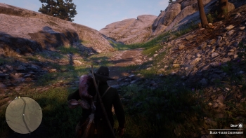 Red Dead Redemption 2 Screenshot